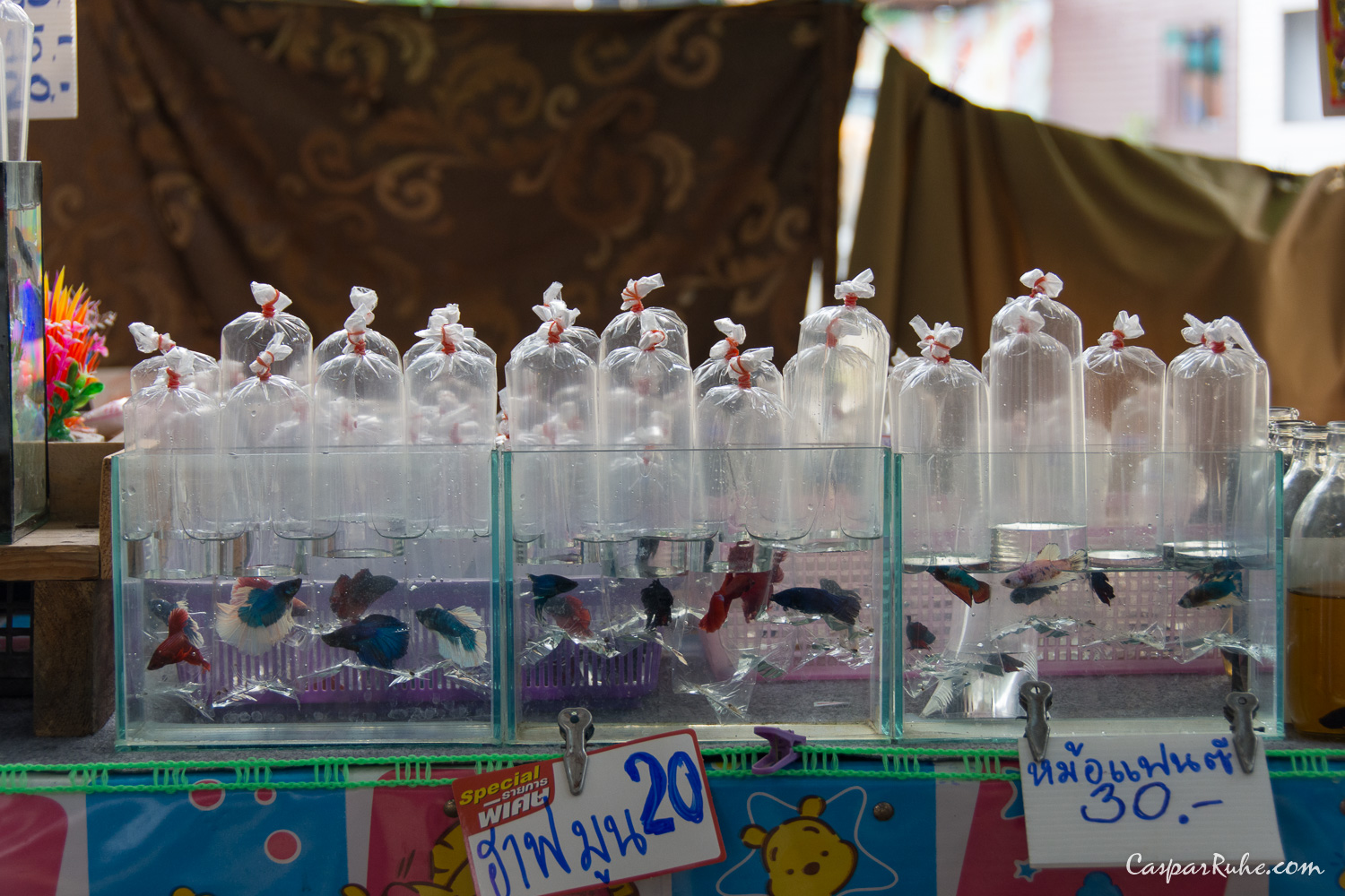 Fish for Sale, Bang Nam Phueng Floating Market, Bangkok, Thailand
